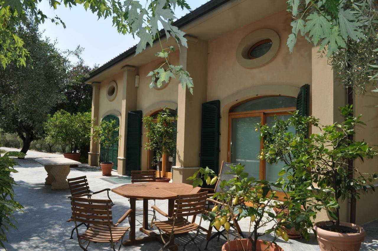 Agriturismo La Limonaia Mondavio Zewnętrze zdjęcie