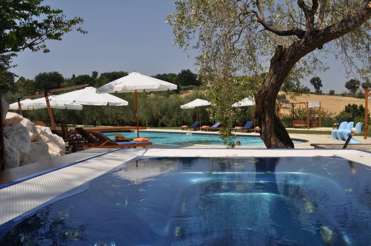 Agriturismo La Limonaia Mondavio Zewnętrze zdjęcie