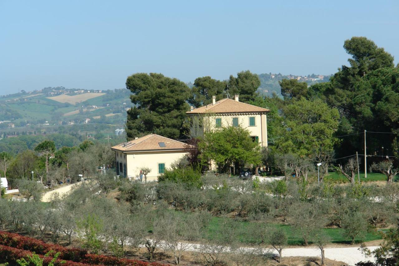 Agriturismo La Limonaia Mondavio Zewnętrze zdjęcie