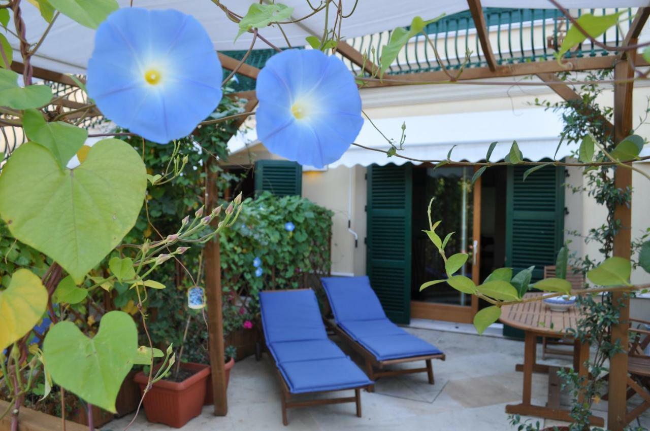 Agriturismo La Limonaia Mondavio Zewnętrze zdjęcie