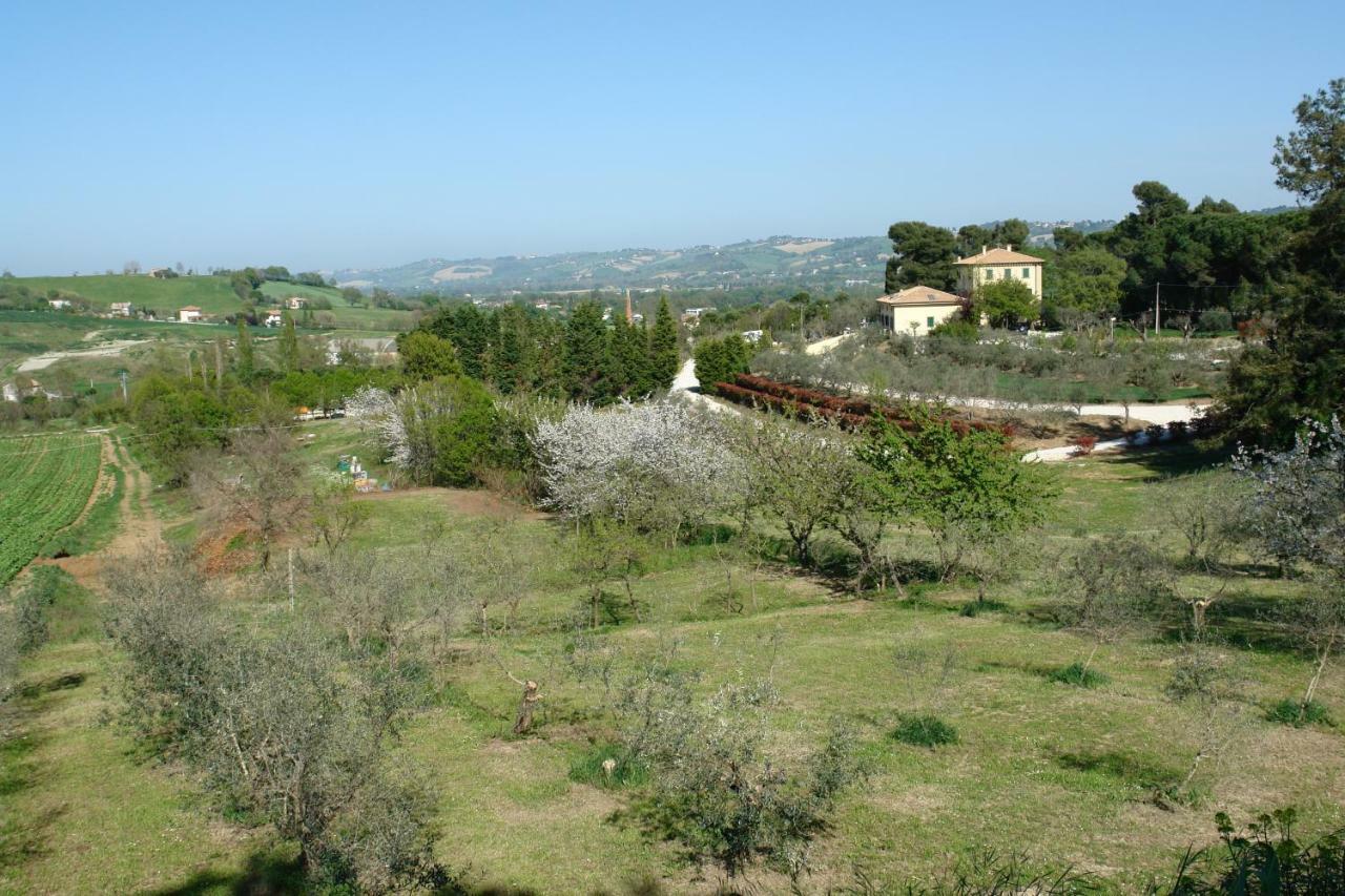 Agriturismo La Limonaia Mondavio Zewnętrze zdjęcie